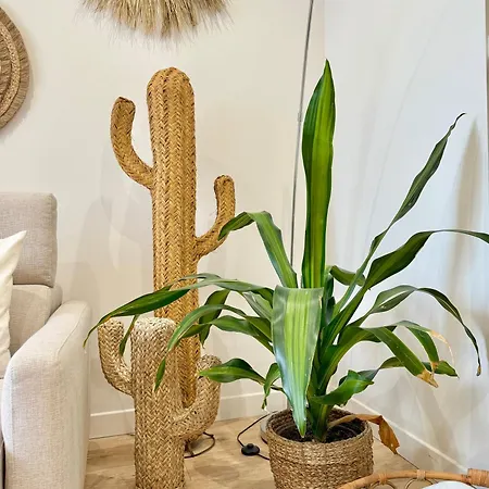 T3 6 Personnes De 60m2 Au Coeur De Ville, Terrasse Et Parking Gratuit * Saint-Raphael (Var)